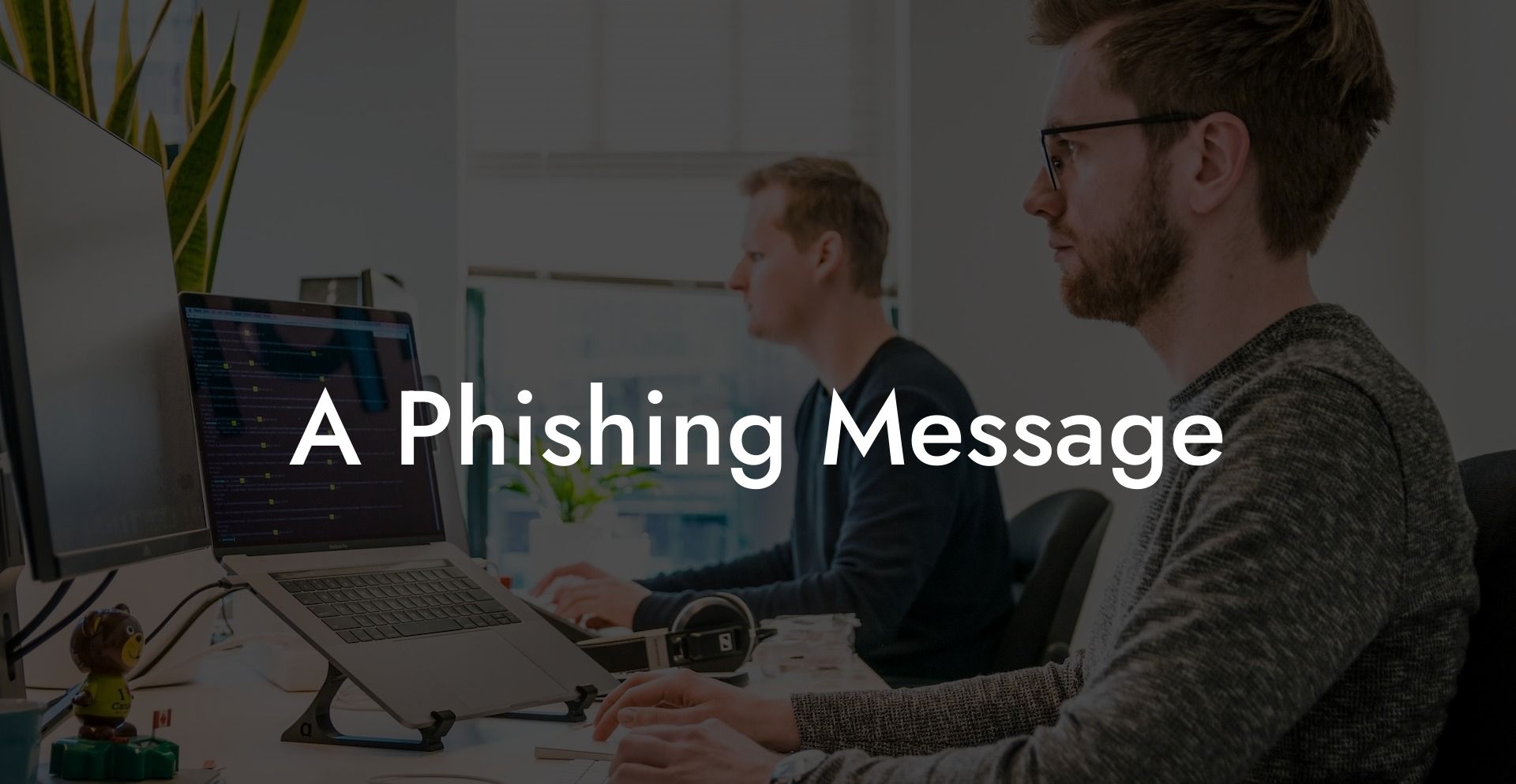 A Phishing Message