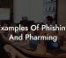 Examples Of Phishing And Pharming