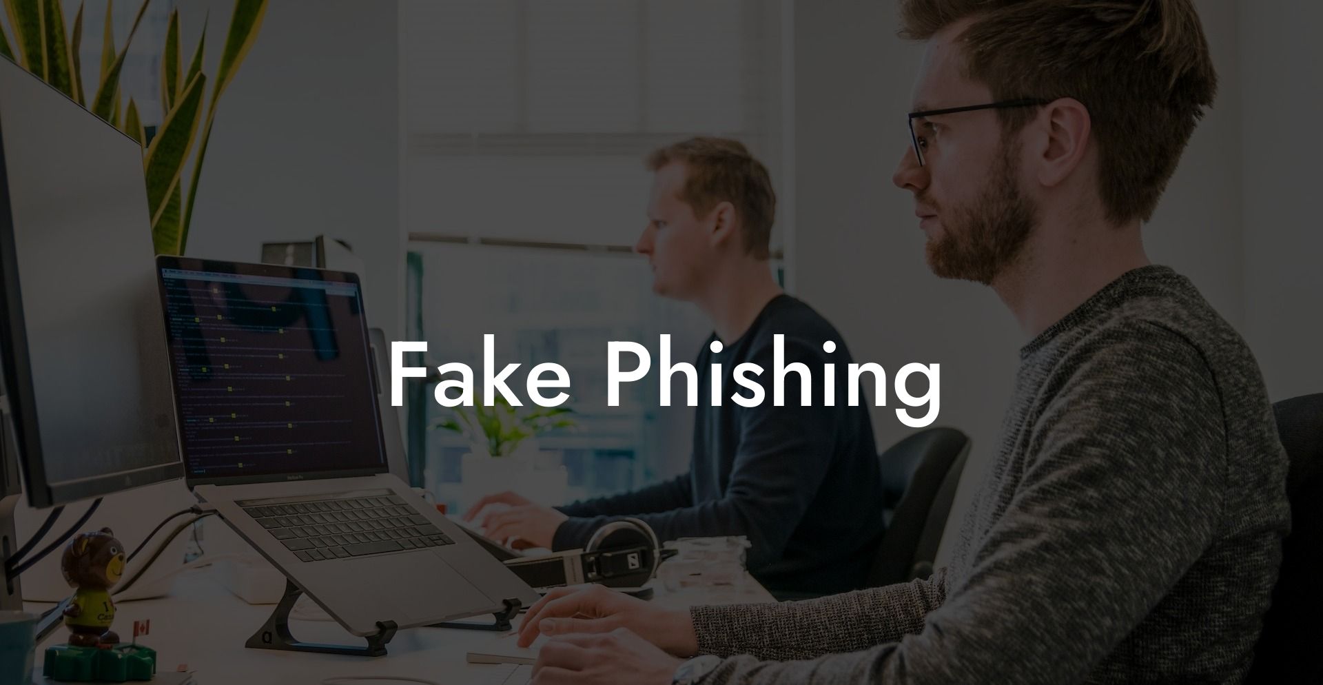 Fake Phishing